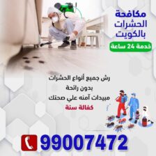 مكافحة حشرات الكويت