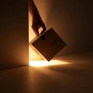 فنون النقل الآسيوية: إتقان العمالة الهندية لفك وتركيب أثاثك المعقد /نقل عفش هندي 1 فنون النقل الآسيوية: إتقان العمالة الهندية لفك وتركيب أثاثك المعقد /نقل عفش هندي